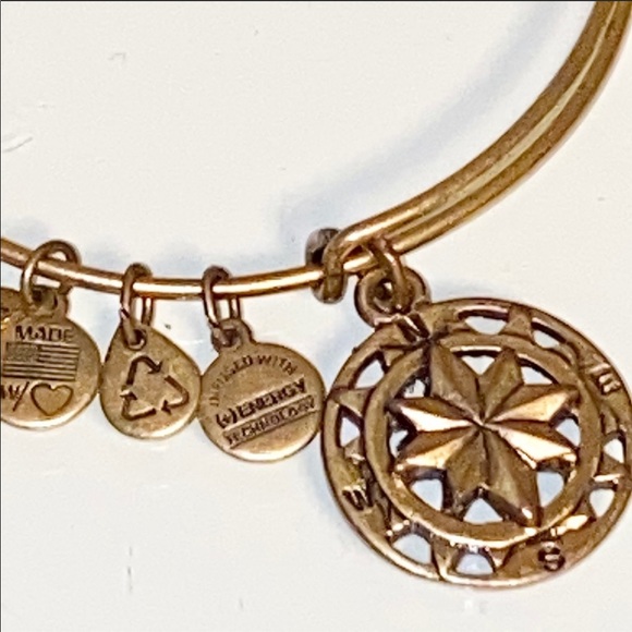 SOLD BuNdLee of 3!! Alex & Ani Charm Bracelets - Picture 11 of 11
